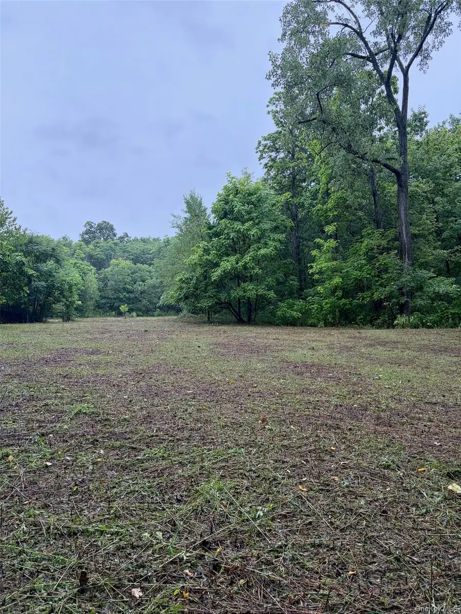 Plank, Newburgh, NY 12550 - #3