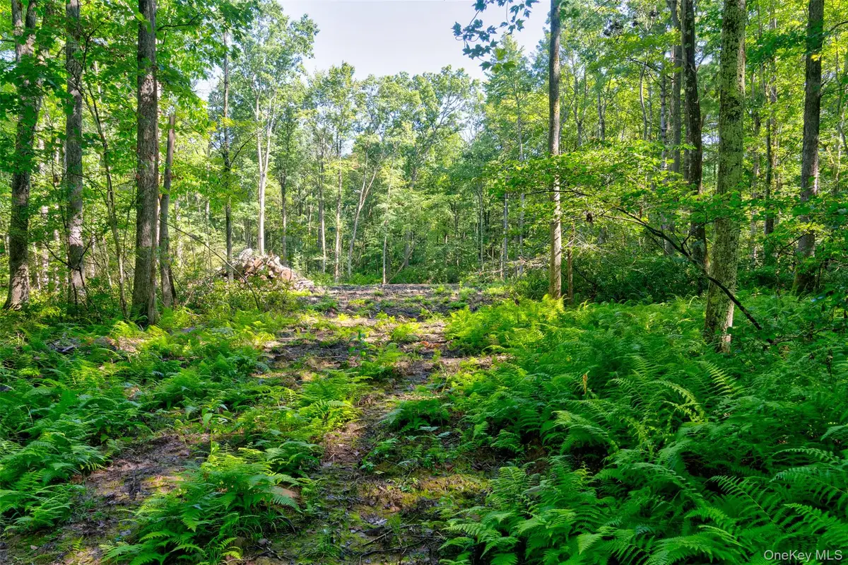 Lot 22 Perry Pond Road, Narrowsburg, NY 12764 - #1
