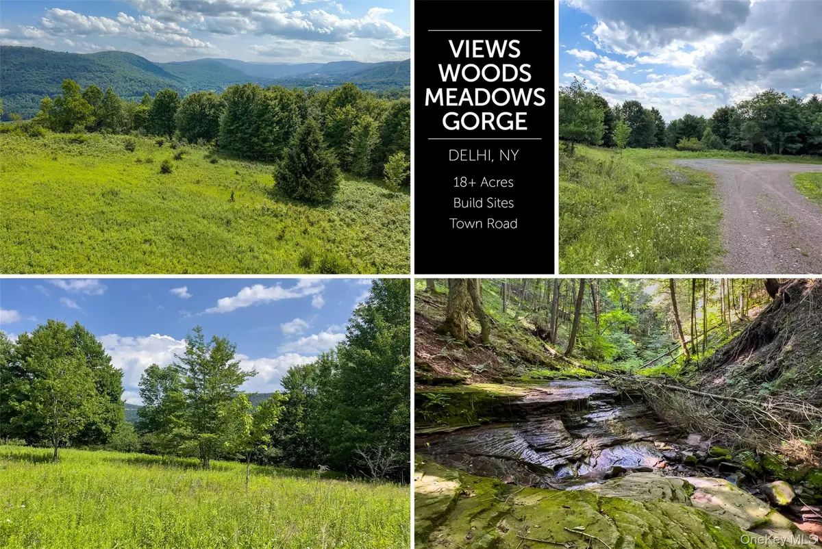 Lot 23 Lynch Road, Delhi, NY 13753 - #1