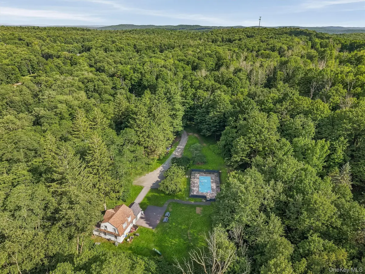412 Old Monticello Road, Liberty, NY 12754 - #1