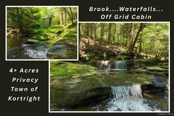 Lot 35 Webster Brook Road, Bloomville, NY 13842
