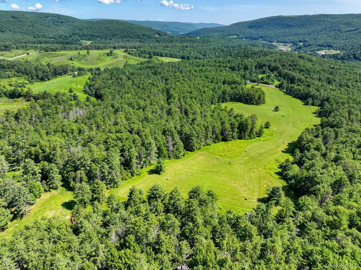 379 Stryker Road, Gilboa, NY 12076 - #1