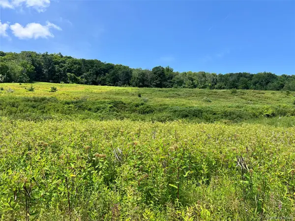 Lot #4 Mountain Road, Port Jervis, NY 12771