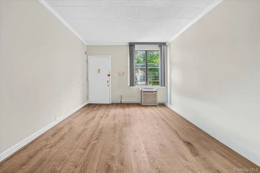 521 E 156th Street #C, Bronx, NY 10455 - #3