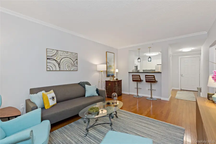300 Mamaroneck Avenue #315, White Plains, NY 10605 - #3