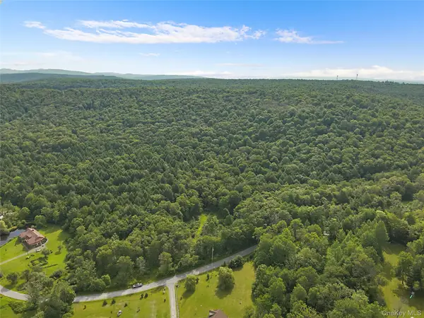 Benton Hollow Road, Livingston Manor, NY 12758