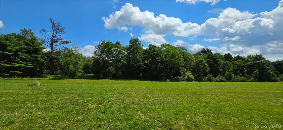 Lots 4 & 5 Dr. Duggan Road, Bethel, NY 12720 - #2