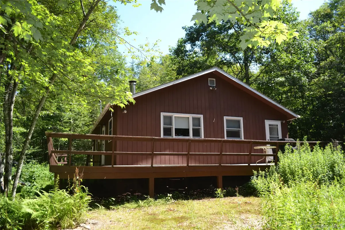 3897 Campbell Mountain Road, Downsville, NY 13755 - #1