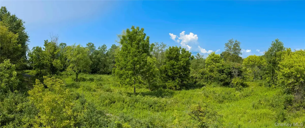 (Lot 1) 111 South Street, Highland, NY 12528 - #1