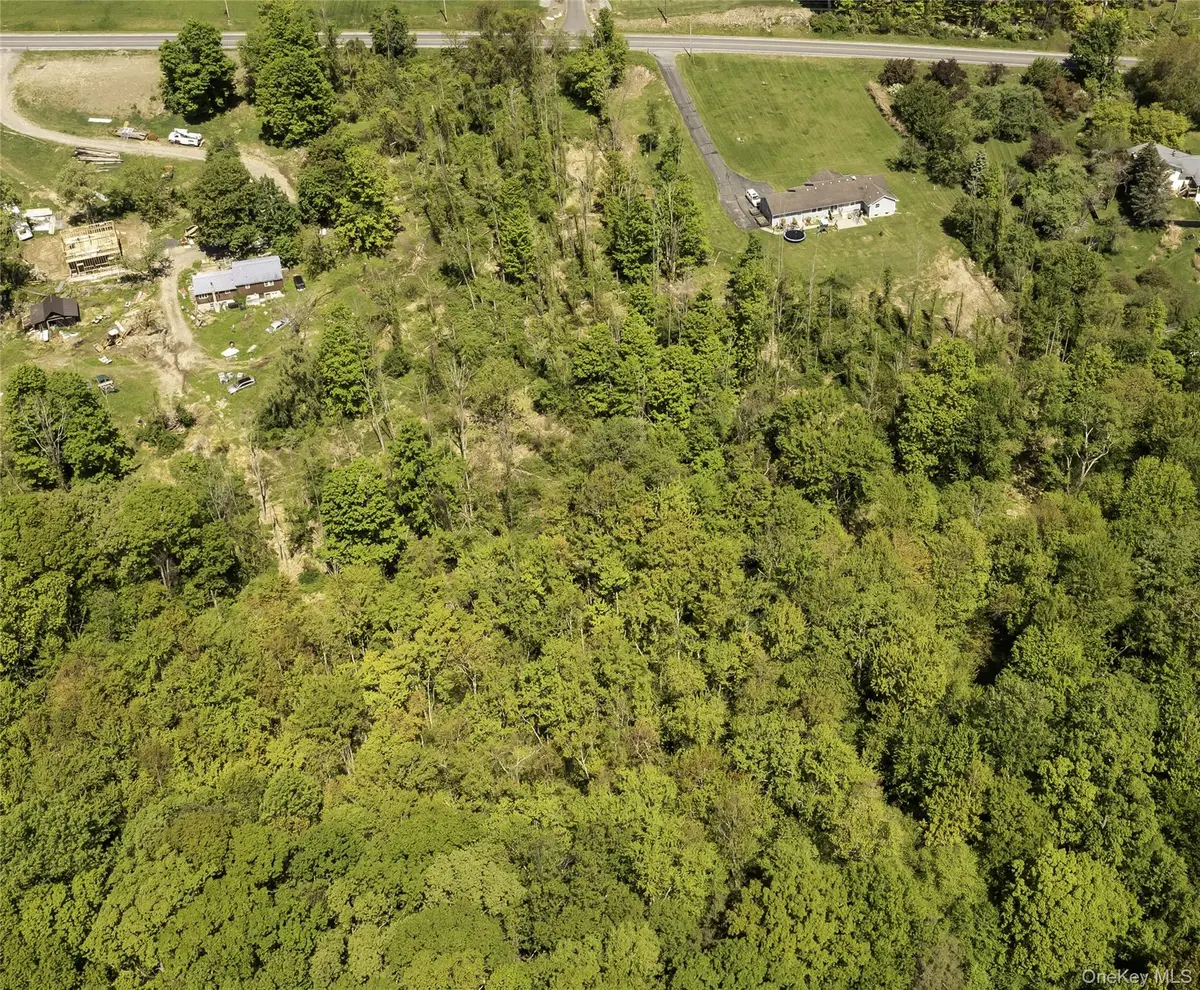 X Old Mountain Road, Otisville, NY 10963 - #1