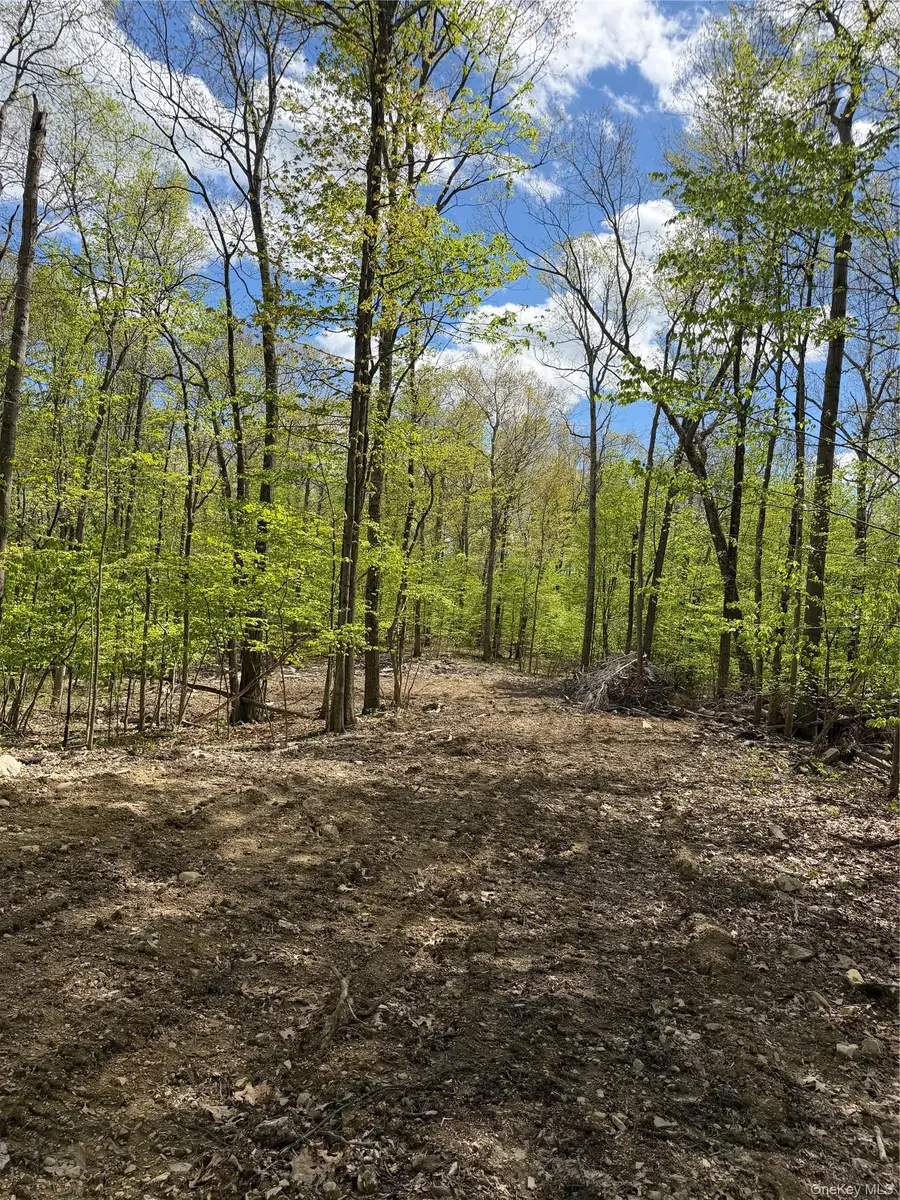 748 State Route 44 55, Highland, NY 12528 - #2