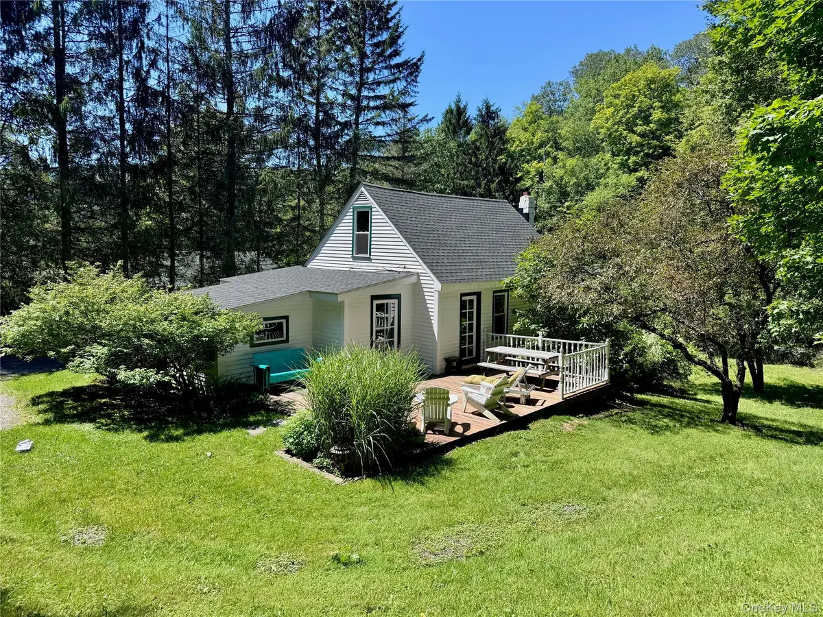 60 Alder Creek Road, Livingston Manor, NY 12758 - #1