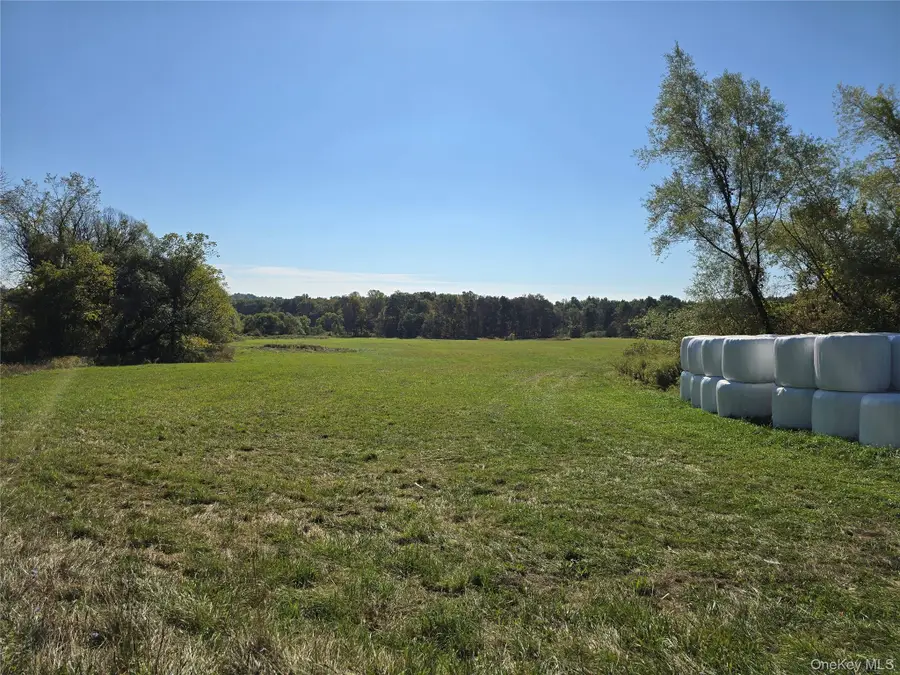 171 Winterton Road, Bloomingburg, NY 12721 - #2