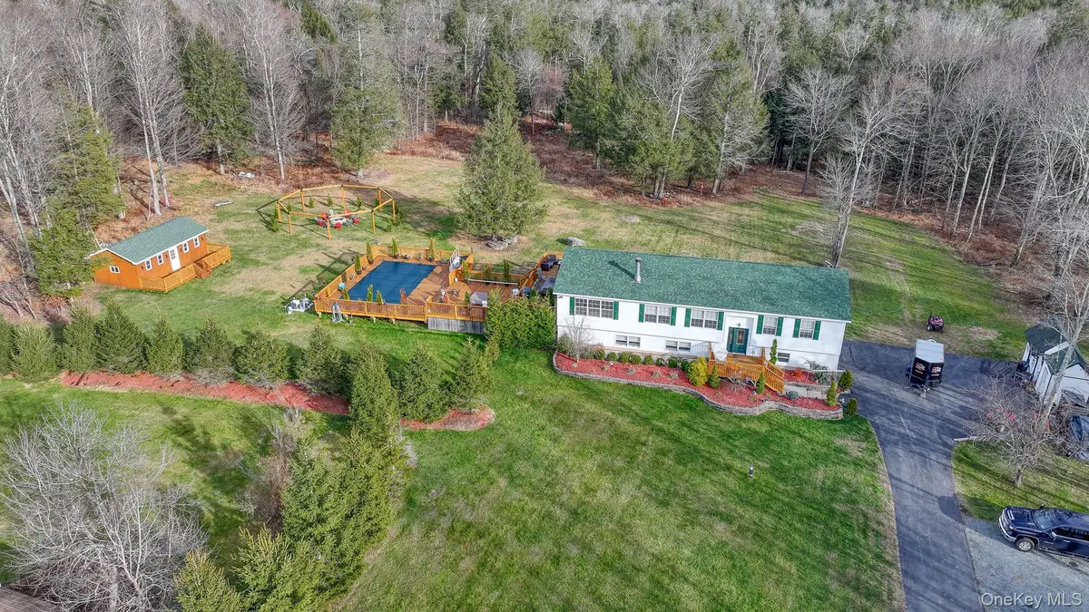 226 Big Woods Road, Harris, NY 12742 - #1