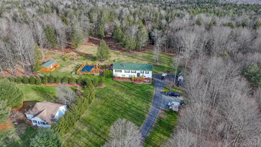 226 Big Woods Road, Harris, NY 12742 - #2