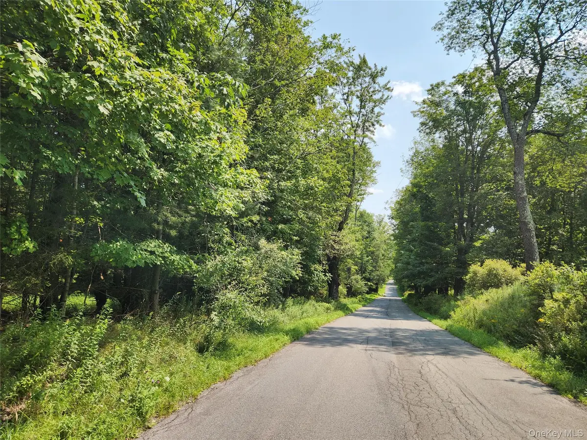 Soule Road, Bethel, NY 12720 - #1