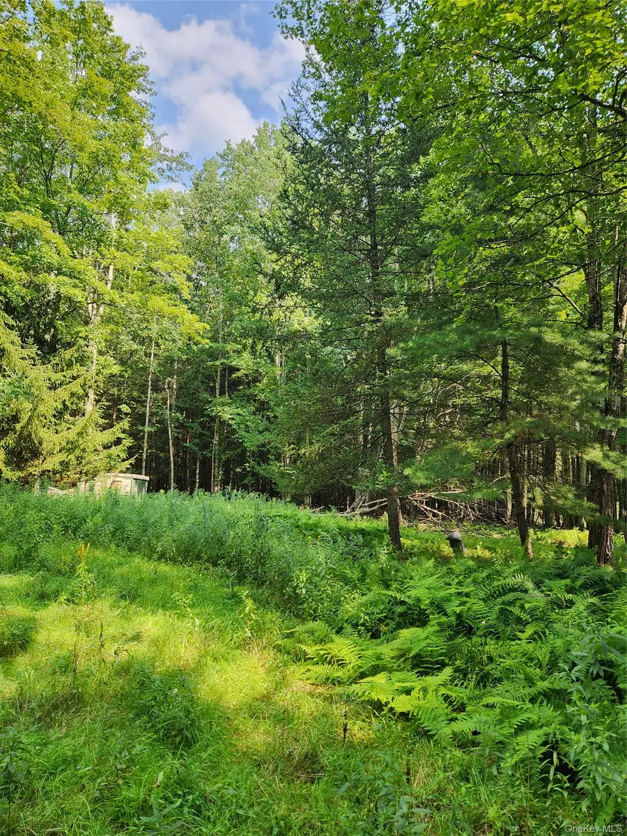 Soule Road, Bethel, NY 12720 - #3