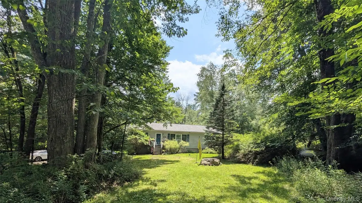 38 Hoffman Road, Narrowsburg, NY 12764 - #1