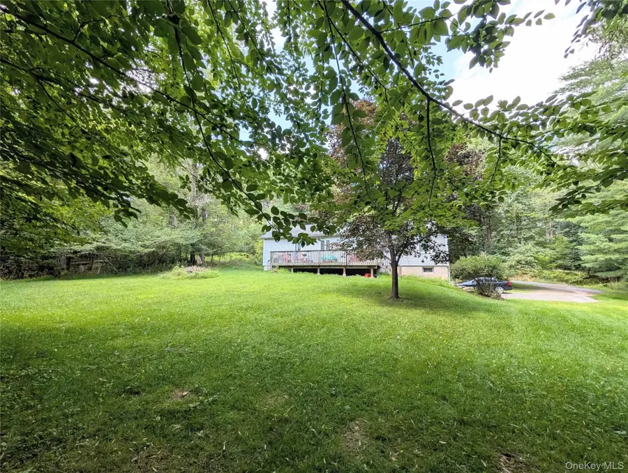 38 Hoffman Road, Narrowsburg, NY 12764 - #2