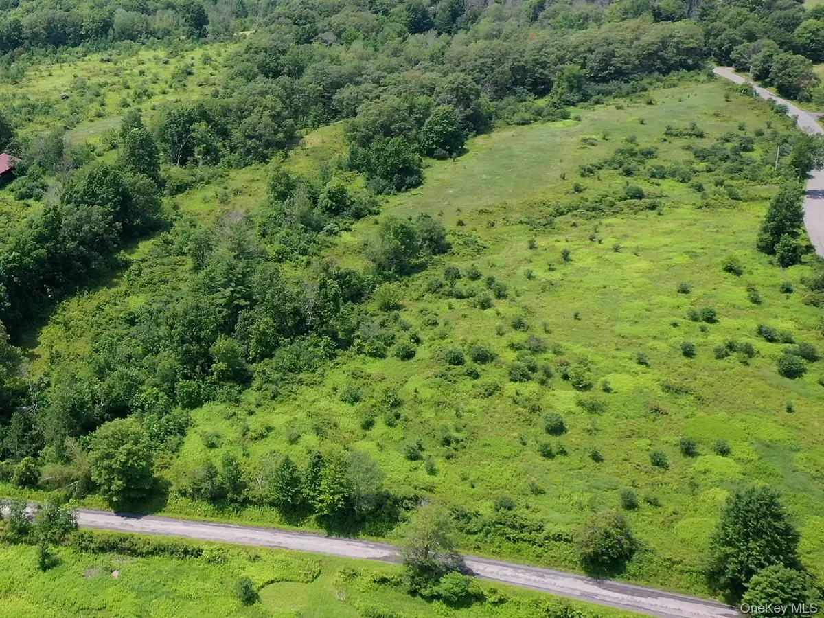 Lot D Louden Road, Austerlitz, NY 12107 - #1