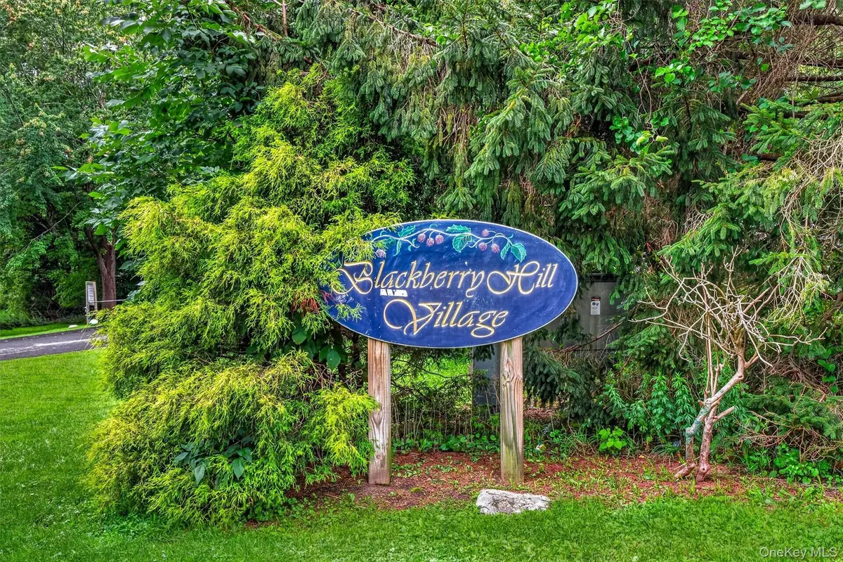 803 Village Drive, Brewster, NY 10509 - #1