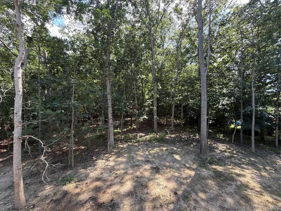 6 Scout Trail, Ridge, NY 11961 - #3