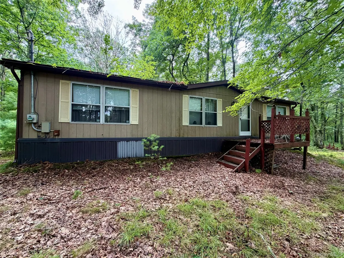 21 Huron Trail, Glen Spey, NY 12737 - #1