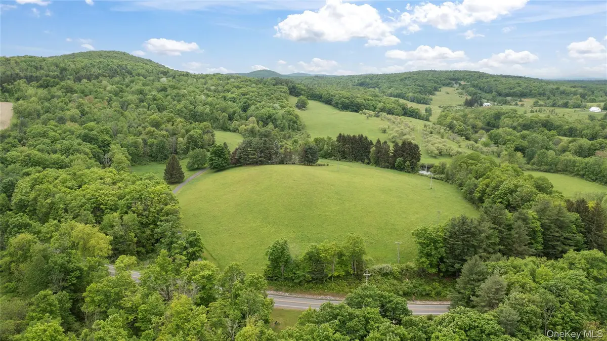 2727 County Route 8, Elizaville, NY 12523 - #1