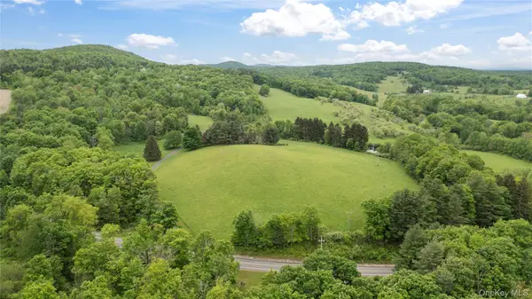 2727 County Route 8, Elizaville, NY 12523