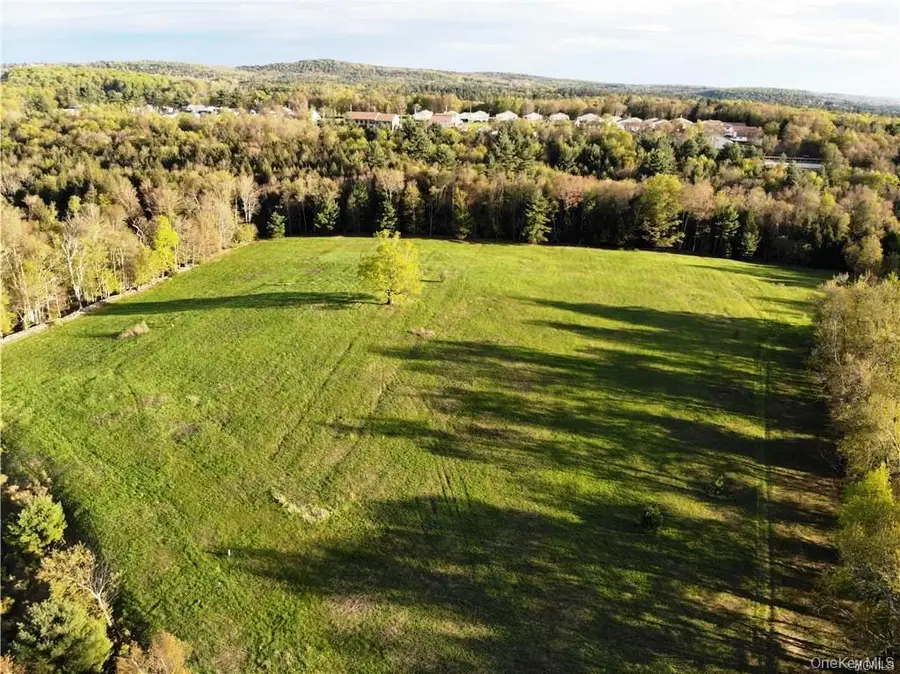 00 Benmosche Road, Monticello, NY 12701 - #2