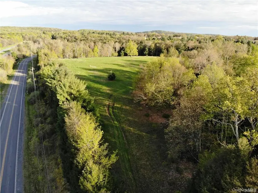 00 Benmosche Road, Monticello, NY 12701 - #3
