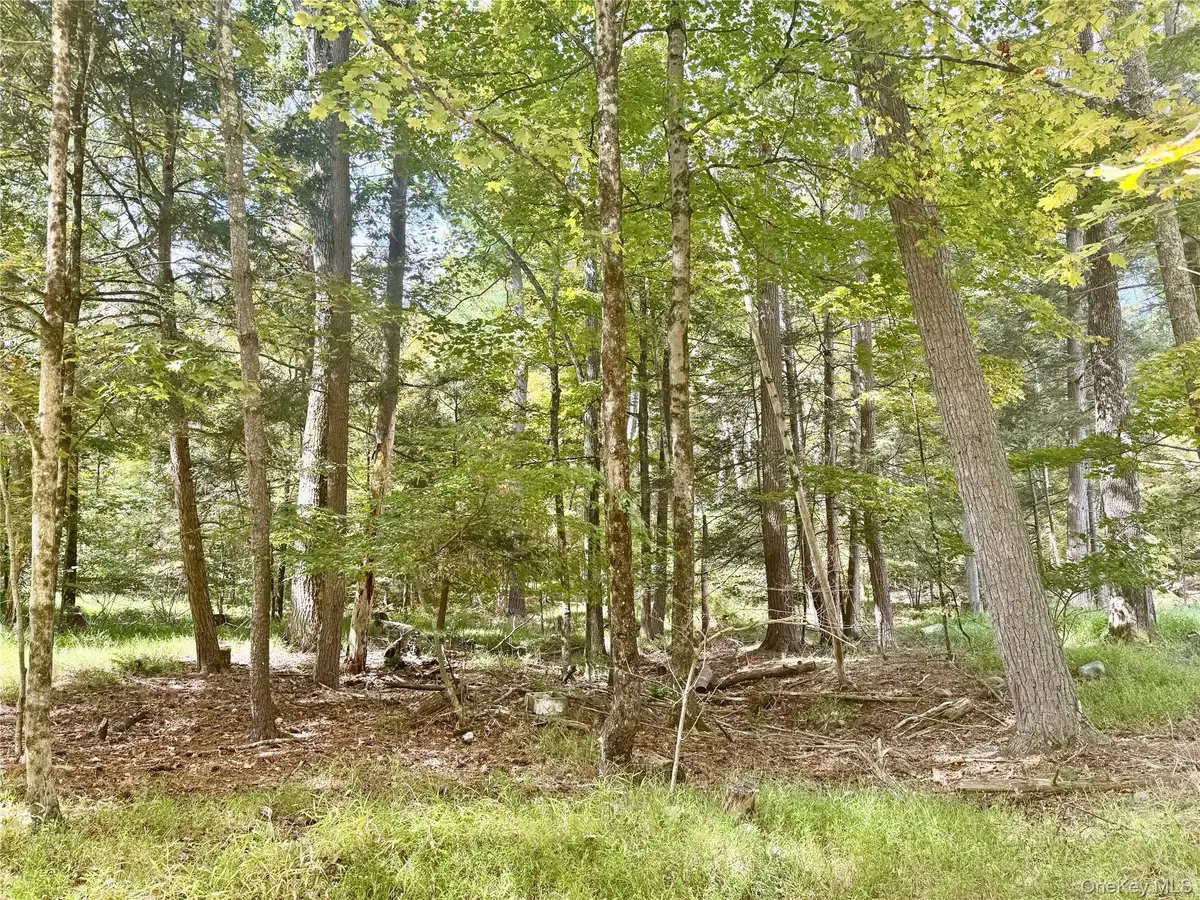 5 Trails, Cuddebackville, NY 12729 - #1