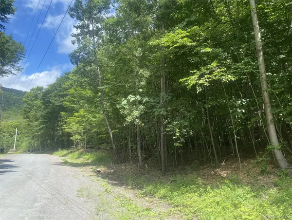 140 Arbor Road, West Kill, NY 12452