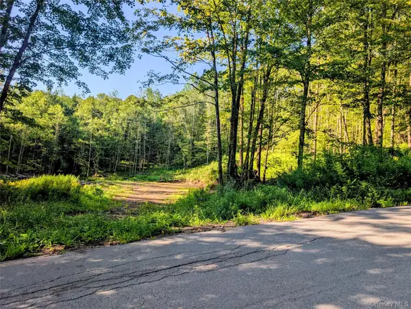 Hurd Road, Swan Lake, NY 12720