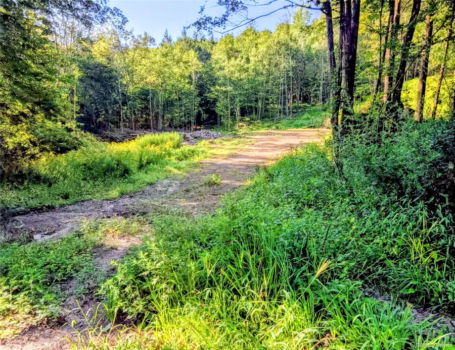 Hurd Road, Bethel, NY 12720 - #2