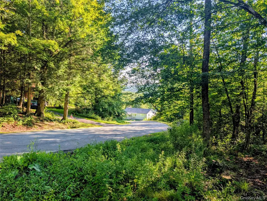 Hurd Road, Bethel, NY 12720 - #3