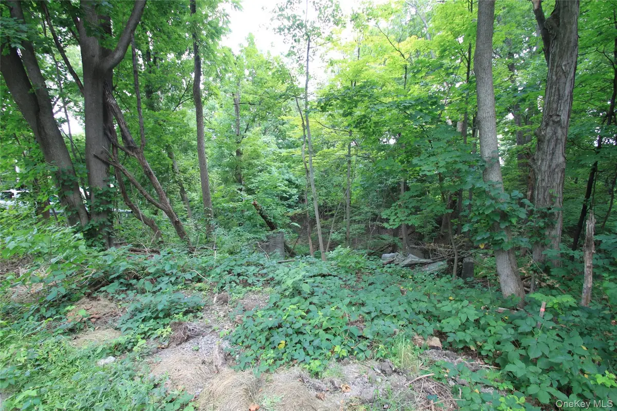 31-33 Spring Street, Hudson, NY 12534 - #1