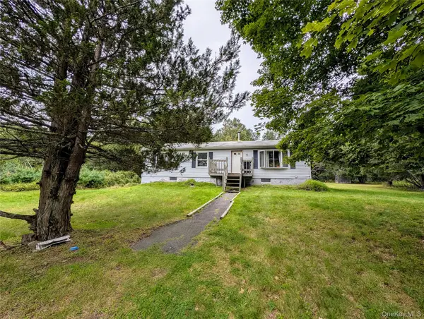 77 Murphy Road, Swan Lake, NY 12783