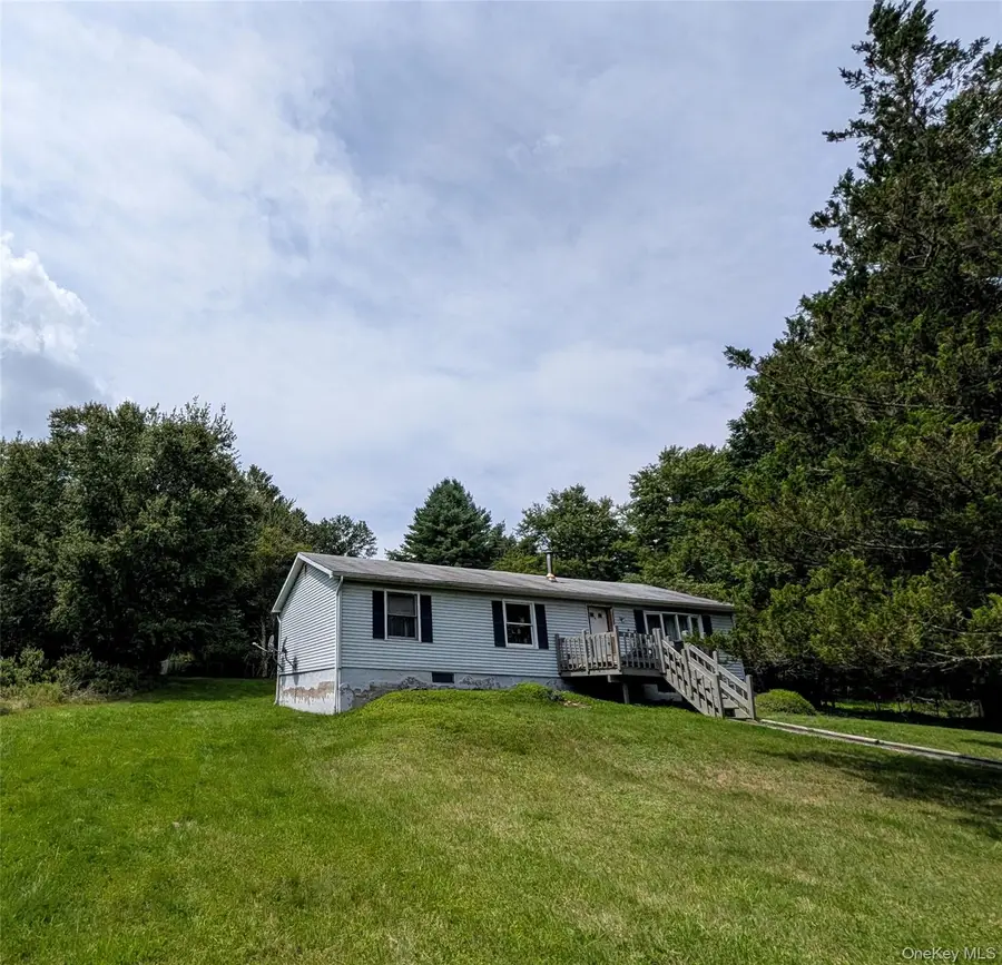 77 Murphy Road, Swan Lake, NY 12783 - #3