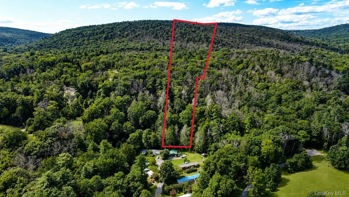 Route 209, Wawarsing, NY 12489 - #1