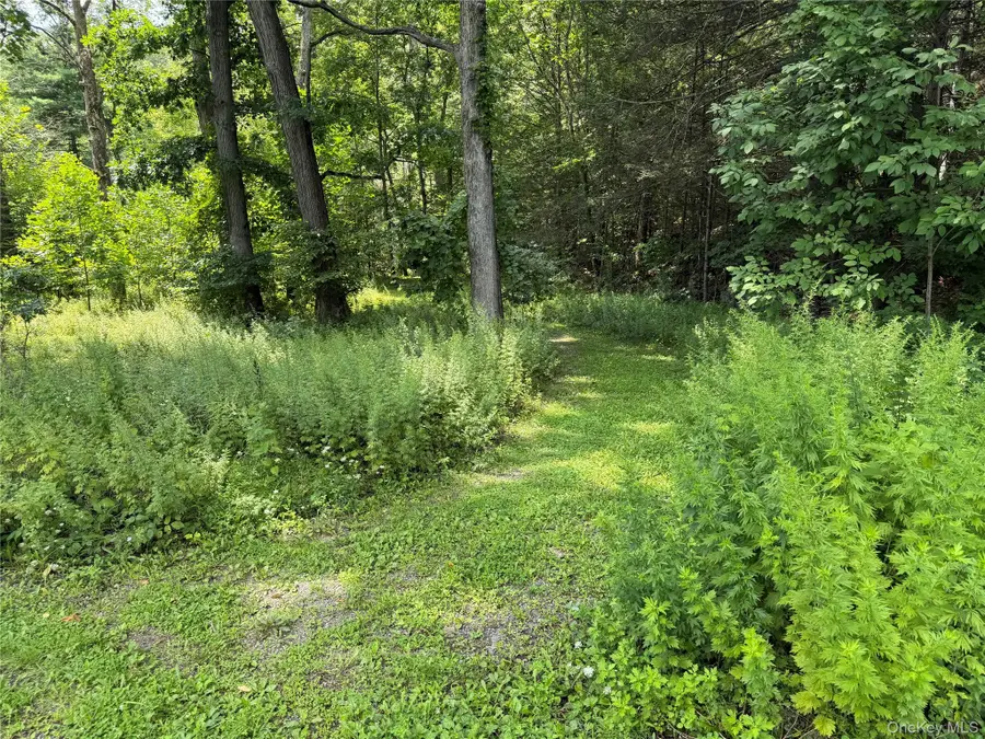 Route 209, Wawarsing, NY 12489 - #3