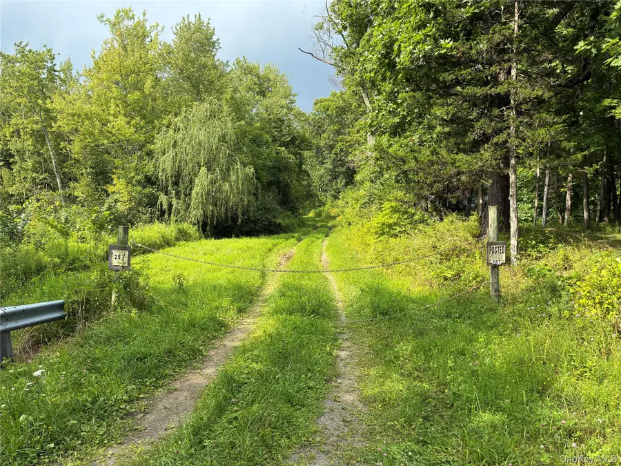 207 Pleasantvale Road, Tivoli, NY 12583 - #2