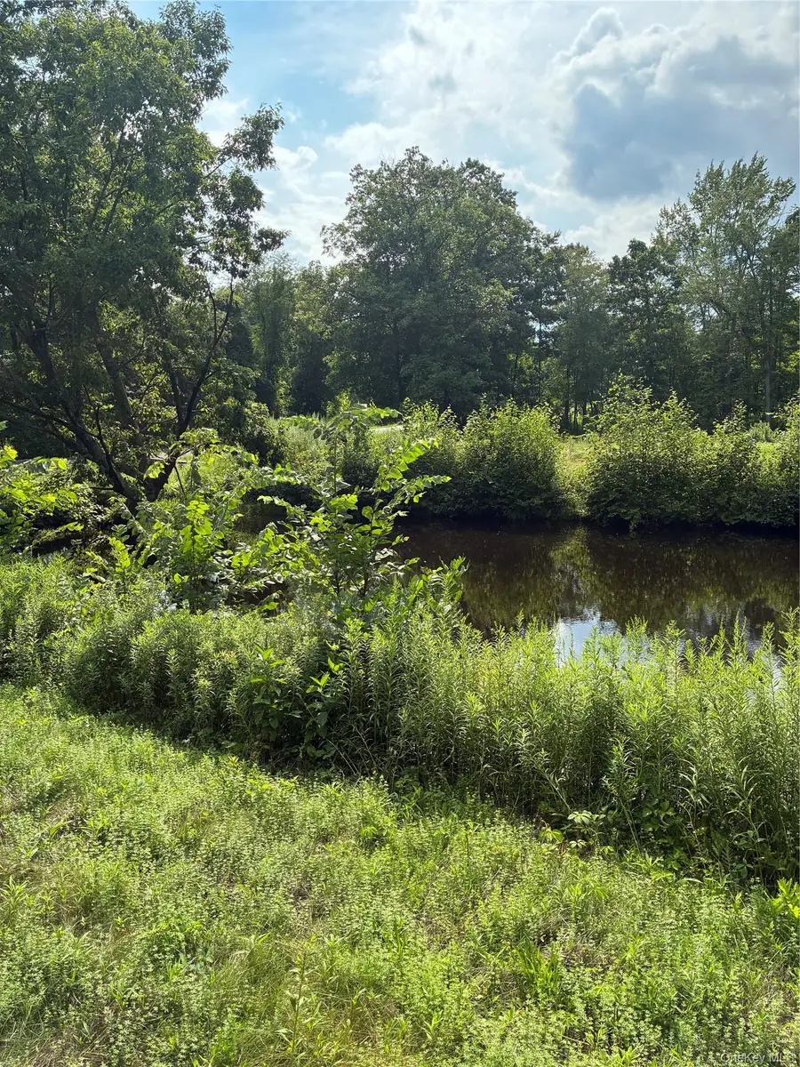 207 Pleasantvale Road, Tivoli, NY 12583 - #3