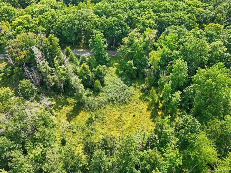 Oak Ridge Road, Ellenville, NY 12428 - #3