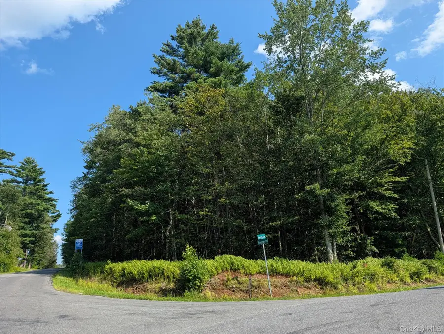 Harris Road, Harris, NY 12742 - #2