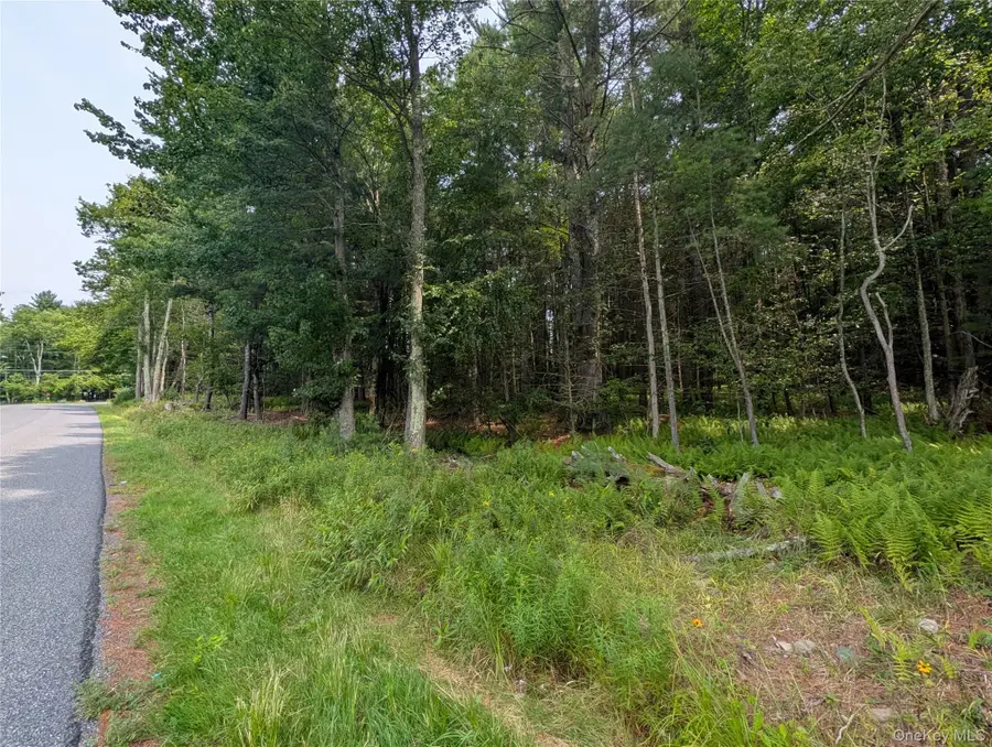Harris Road, Harris, NY 12742 - #3