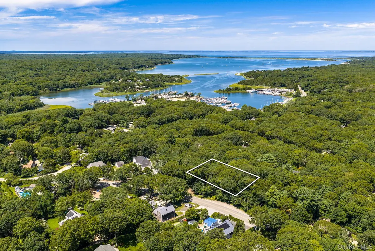 21 & 23 Abraham's Path (also Called Pavilion Place) Path, East Hampton, NY 11937 - #1