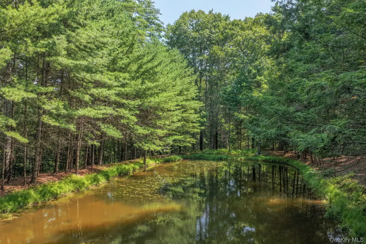 Lot 55.1 Swanerbury Road, Glen Spey, NY 12737 - #1