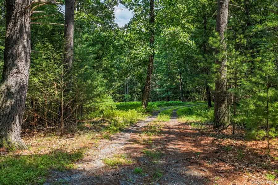 Lot 55.1 Swanerbury Road, Glen Spey, NY 12737 - #2