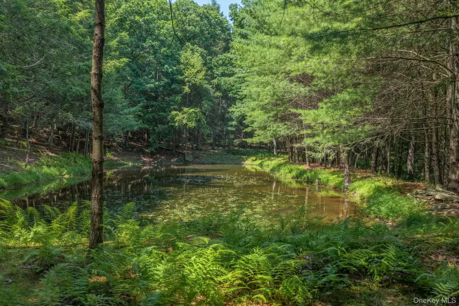 Lot 55.1 Swanerbury Road, Glen Spey, NY 12737 - #3